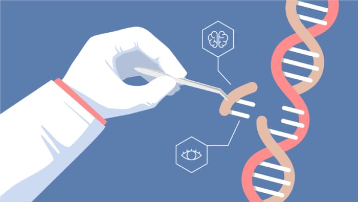 Ethical Considerations in Genetic Screening