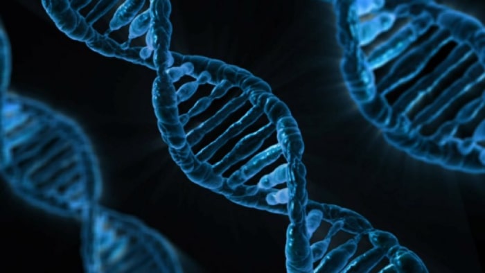 Types of Genetic Screening Tests
