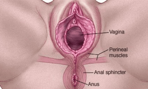 Types of Vaginal Tears