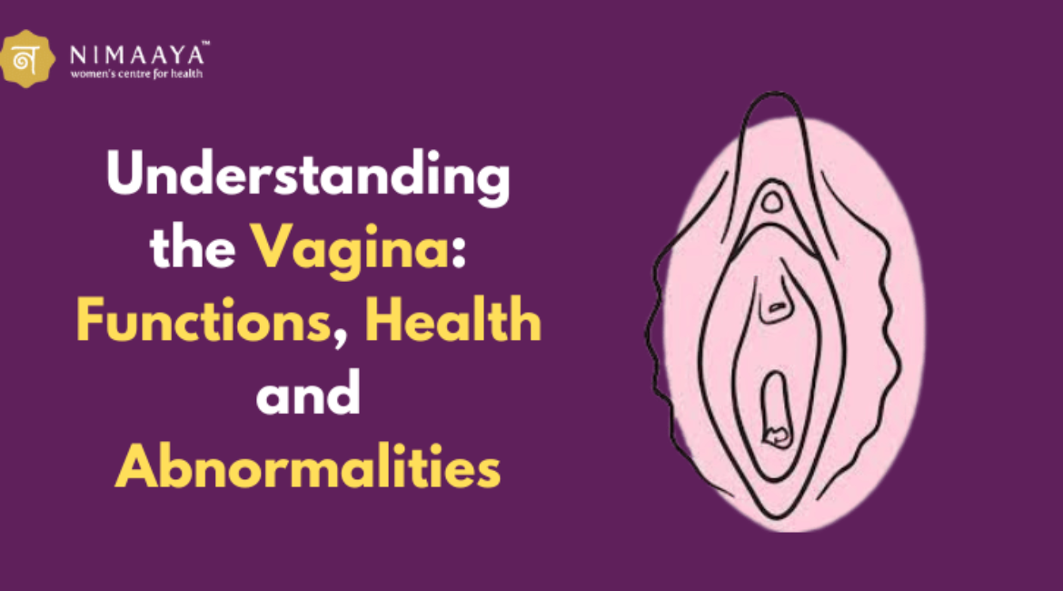 Understanding the Vagina: Functions, Health and Abnormalities