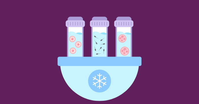 Frozen Embryo Transfer (FET)