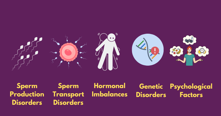 Types of Male Infertility 