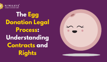 The Egg Donation Legal Process: Understanding Contracts and Rights