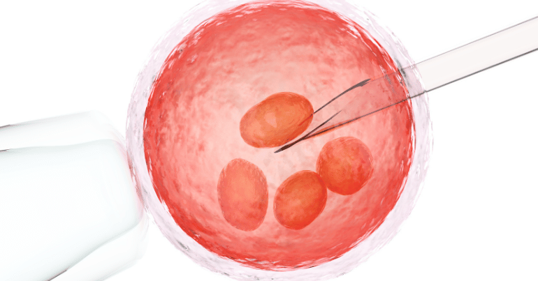 Egg Donation Process in IVF