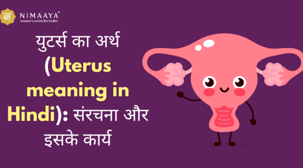 गर्भाशय का हिंदी में मतलब (Uterus meaning in Hindi): संरचना और इसके कार्य