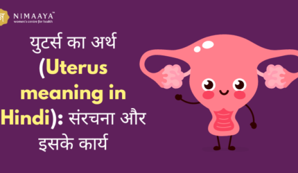 गर्भाशय का हिंदी में मतलब (Uterus meaning in Hindi): संरचना और इसके कार्य