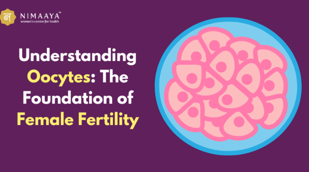 Understanding Oocytes: The Foundation of Female Fertility