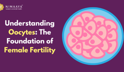 Understanding Oocytes: The Foundation of Female Fertility