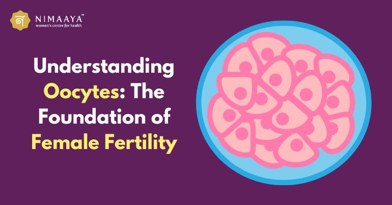 Understanding Oocytes: The Foundation of Female Fertility