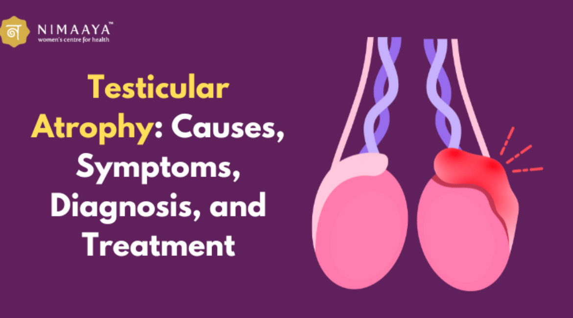 Testicular Atrophy: Causes, Symptoms, Diagnosis, and Treatment