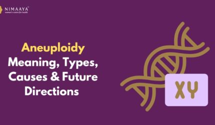 Aneuploidy Meaning, Types, Causes & Future Directions