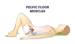 Pelvic Floor Exercises