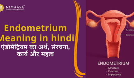 Endometrium Meaning in Hindi कार्य और महत्व, संरचना