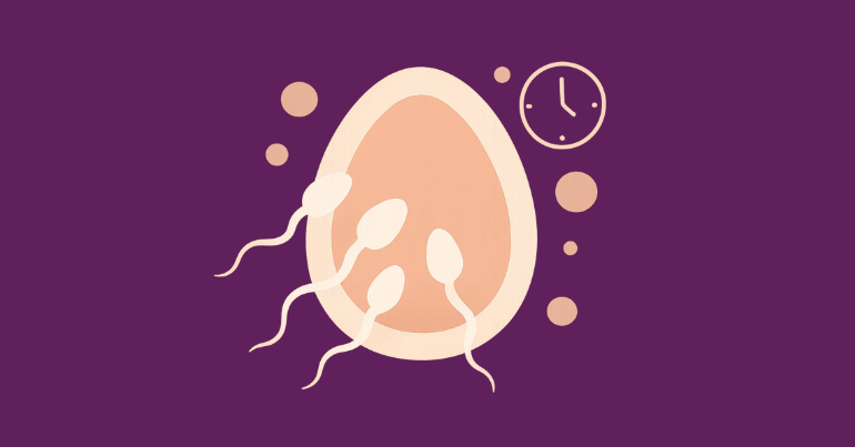 Fertile Window and Sperm Survival
