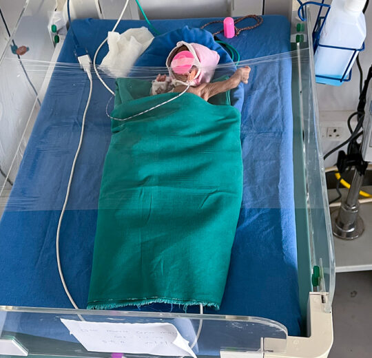 new born baby at nimaaya in NICU ward